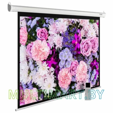 Проекционный экран CACTUS MotoExpert 420x315 (CS-PSME-420x315-WT)